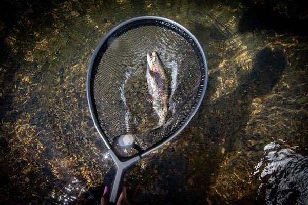 Frabill Floating Trout Net - Image 2