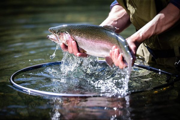Frabill Floating Trout Net - Image 3