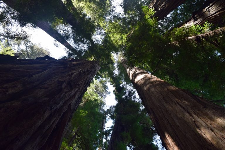 The Thrill of Outdoor Adventure: Embracing Nature’s Wonders